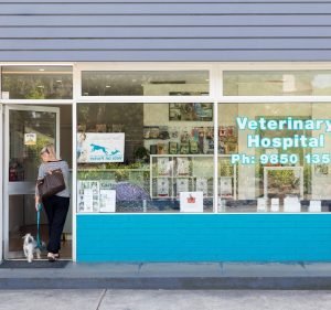 Vets On Parker Pet care service in Templestowe