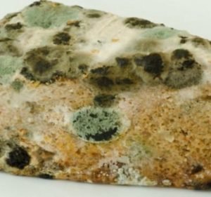 Babycakes Bakery Food & Beverages in Point Cook