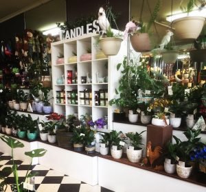 Melton Florist Florist in Melton