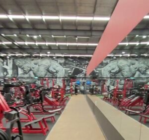 Muscle City Gym & Fitness in Mount Waverley