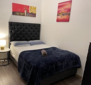 Hotels and Accommodations in South Yarra Australia Summer Inn City Hotel