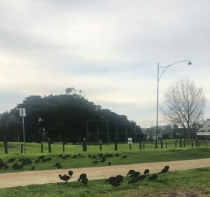 Bayside House Hostel in St Kilda