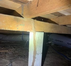 Pest Control Services in Victoria Australia Viking Termite & Pest Control