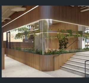 Star Digital Marketing Marketing agency in Cremorne