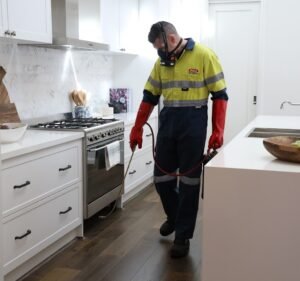 Pest Control Services in Victoria Australia Flick Pest Control Warrnambool