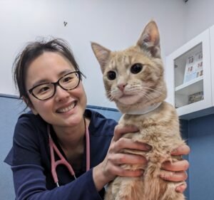 RSPCA Burwood East Vet Clinic Pet care service in Burwood East
