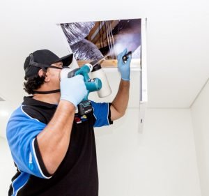  Sydney Side Pest Control Hurstville