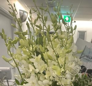Lush Flower Co Florist in Neutral Bay