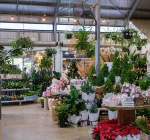 Geelong Flower Farm in Moolap