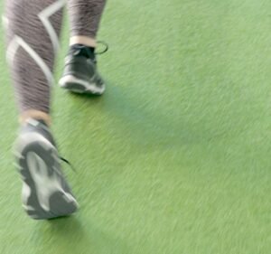 The Australian Strength Performance Centre Gym & Fitness in Brunswick East