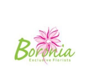 Boronia Exclusive Florists Florist in Ballarat Central