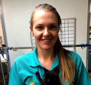 Katherine Veterinary Clinic Pet care service in Katherine