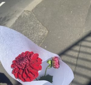 DUST FLOWERS Florist in Haymarket