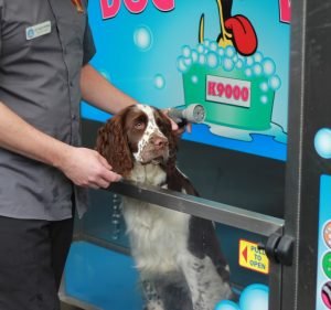 Whitehorse Veterinary Hospital Pet care service in Blackburn