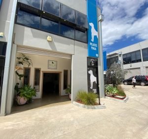 Yoga Studios in Melbourne Australia White Dog Studio | Yarraville