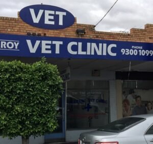 Veterinary Clinics in Melbourne Australia Glenroy Vet Clinic