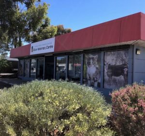 Alice Veterinary Centre Pet care service in Ciccone