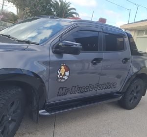 Mr Muscle Services Cleaning service in Keysborough