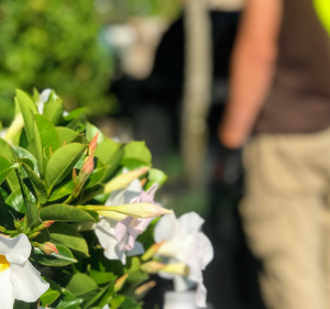  Garden-R Garden Maintenance & Landscaping