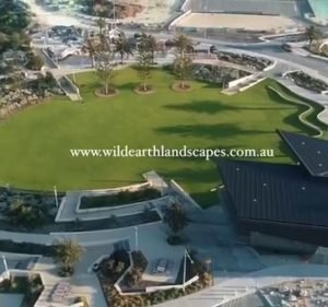 Wild Earth Landscapes Landscaping in Balcatta
