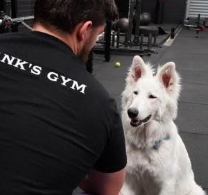  Frank's Gym Perth