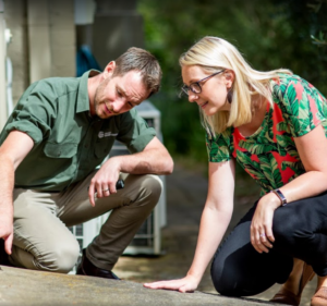 Pest Control Services in Victoria Australia Specialist Termite Control