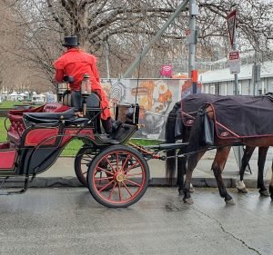 Princes Wharf No. 1 Event venue in Hobart