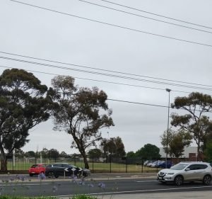 Werribee Park Motor Inn Hotel in Werribee