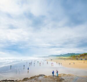 Web Design Services in South Yarra Australia Web Intelligenz