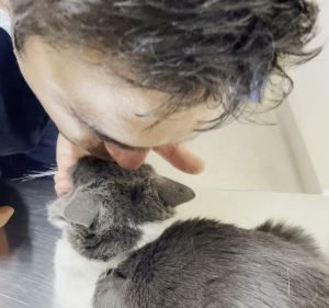 Mitcham Pet Hospital Pet care service in Mitcham