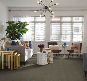 Carpet Retailers in Victoria Australia Carpet Call Notting Hill Builders Division
