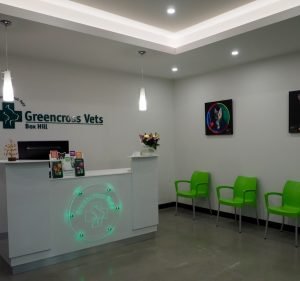 Greencross Vets Box Hill Pet care service in Box Hill