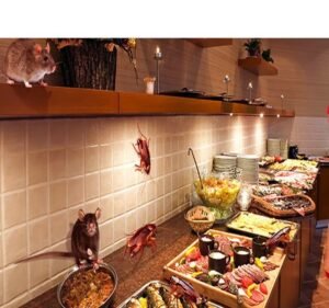 Pest Control Services in Melbourne Australia Protech Pest Control