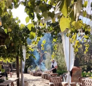 Catering Services in Victoria Australia Muse Events & Catering