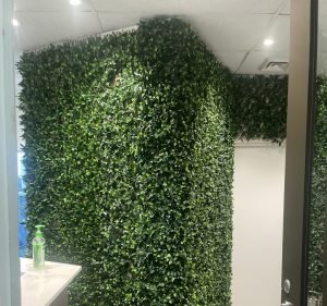 beyondental Sydney CBD