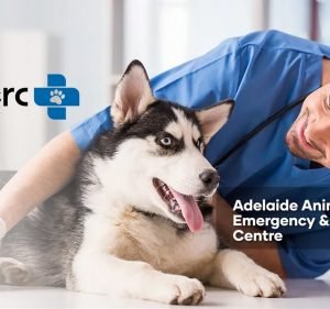  Adelaide Animal Emergency & Referral Centre