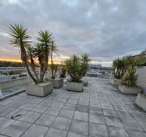 Cleaning Services in Melbourne Australia Starworld Cleaning