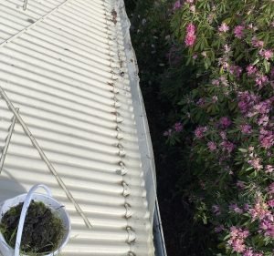 Tassi Cleaning Services Cleaning service in Sandy Bay