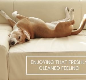 Cleaning Ease Cleaning service in Pyrmont