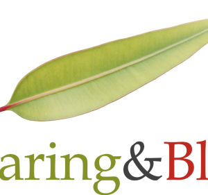 Wearing & Blairs Legal in Adelaide