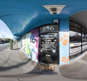 Camberwell Veterinary Clinic Pet care service in Camberwell