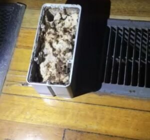 Neighbourhood Pest Control Pest control service in Sunshine North