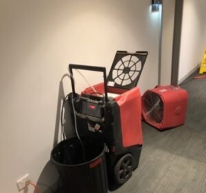 Flood Response Water damage restoration service in Abbotsford