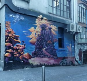 Cafes and Coffee Shops in Melbourne Australia Cafe Kinetic