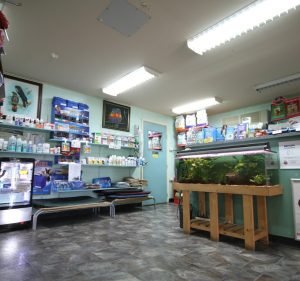 Northern Territory Veterinary Services Pet care service in Katherine