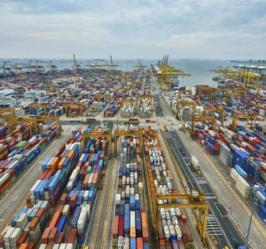 Import and Export in Victoria Australia Premium Export Solutions Pty Ltd