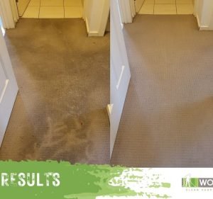 Wow Clean Co trading as Wow Clean Carpets Cleaning service in Belmont