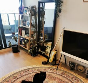 Quality Rugs and Furniture - Fawkner Rug store in Fawkner