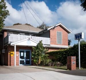Veterinary Clinics in Victoria Australia Hampton Veterinary Clinic