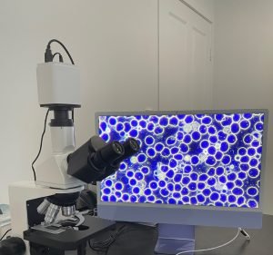 Agnes Water Naturopath Health & Medical in Agnes Water